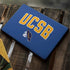 University of California-Santa Barbara UCSB Google Pixelbook Go Skin